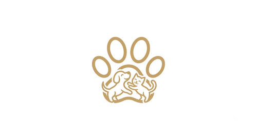 PetJoystore